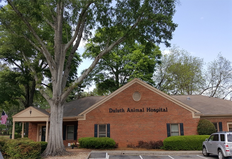 Duluth Animal Hospital photo
