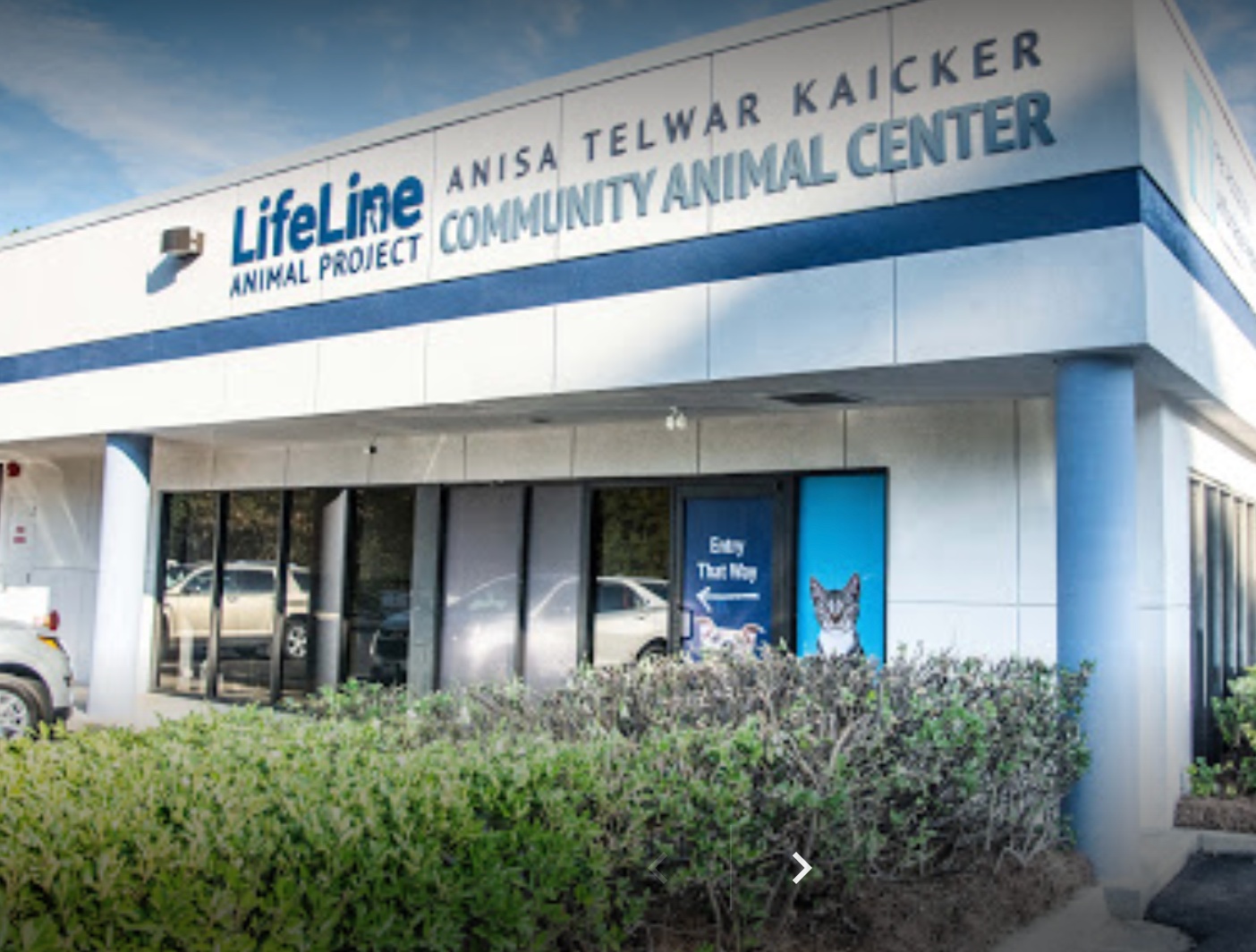 LifeLine Animal Project photo