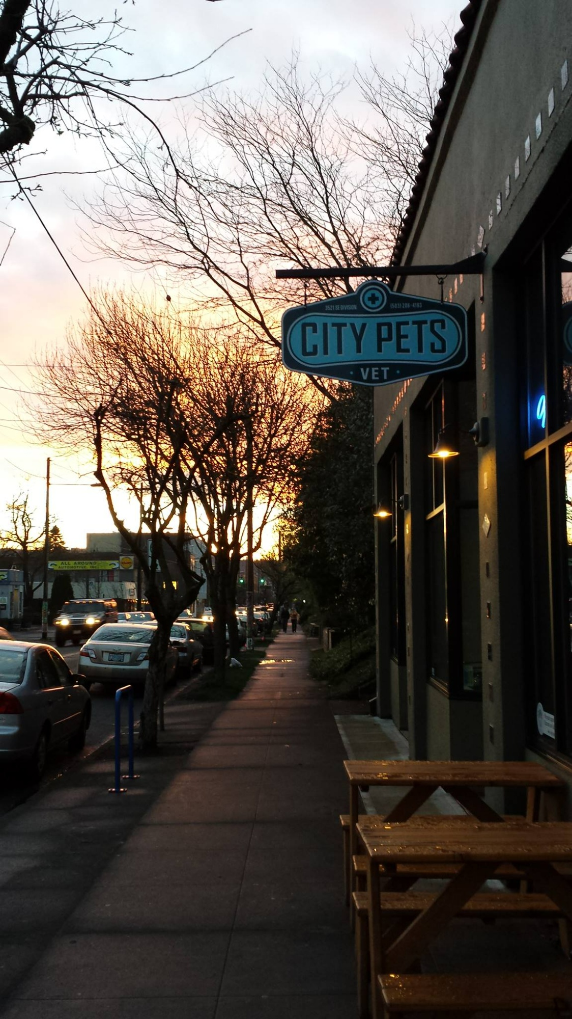 City Pets Vet photo