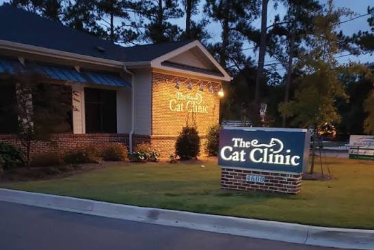 The Cat Clinic photo