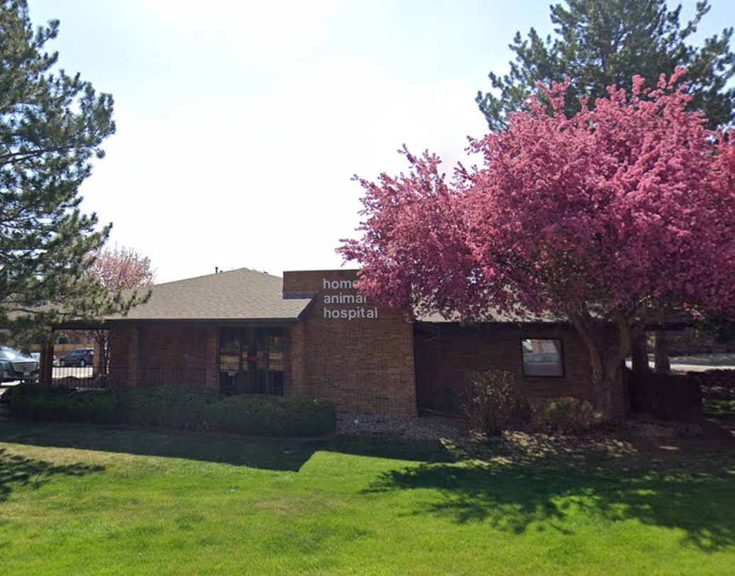 Homestead Animal Hospital photo