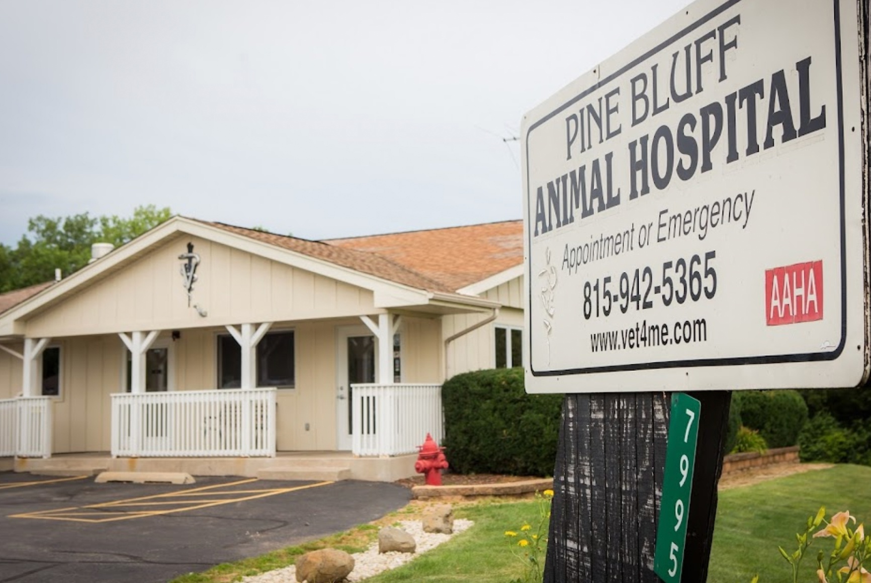 Pine Bluff Animal Hospital photo
