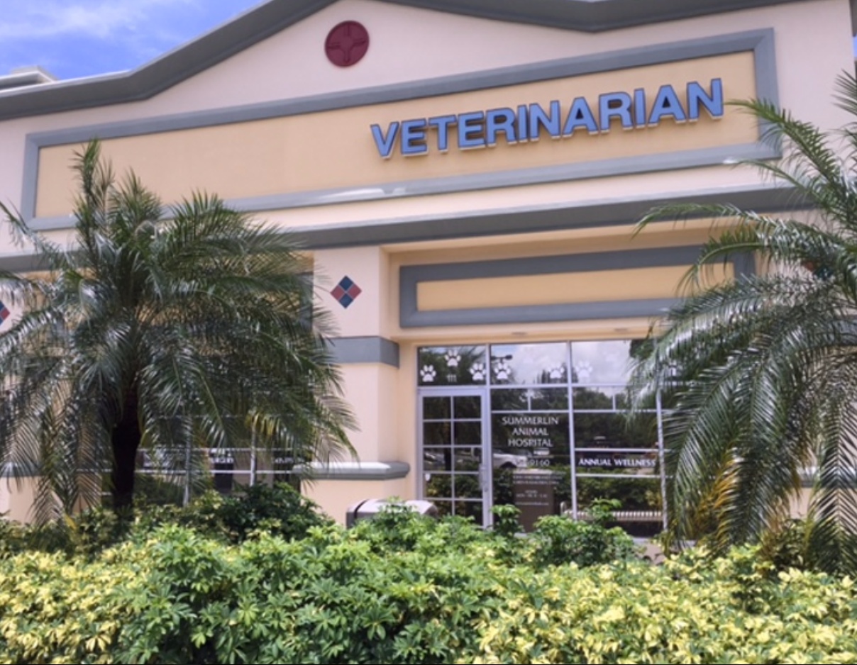 Summerlin Animal Hospital photo