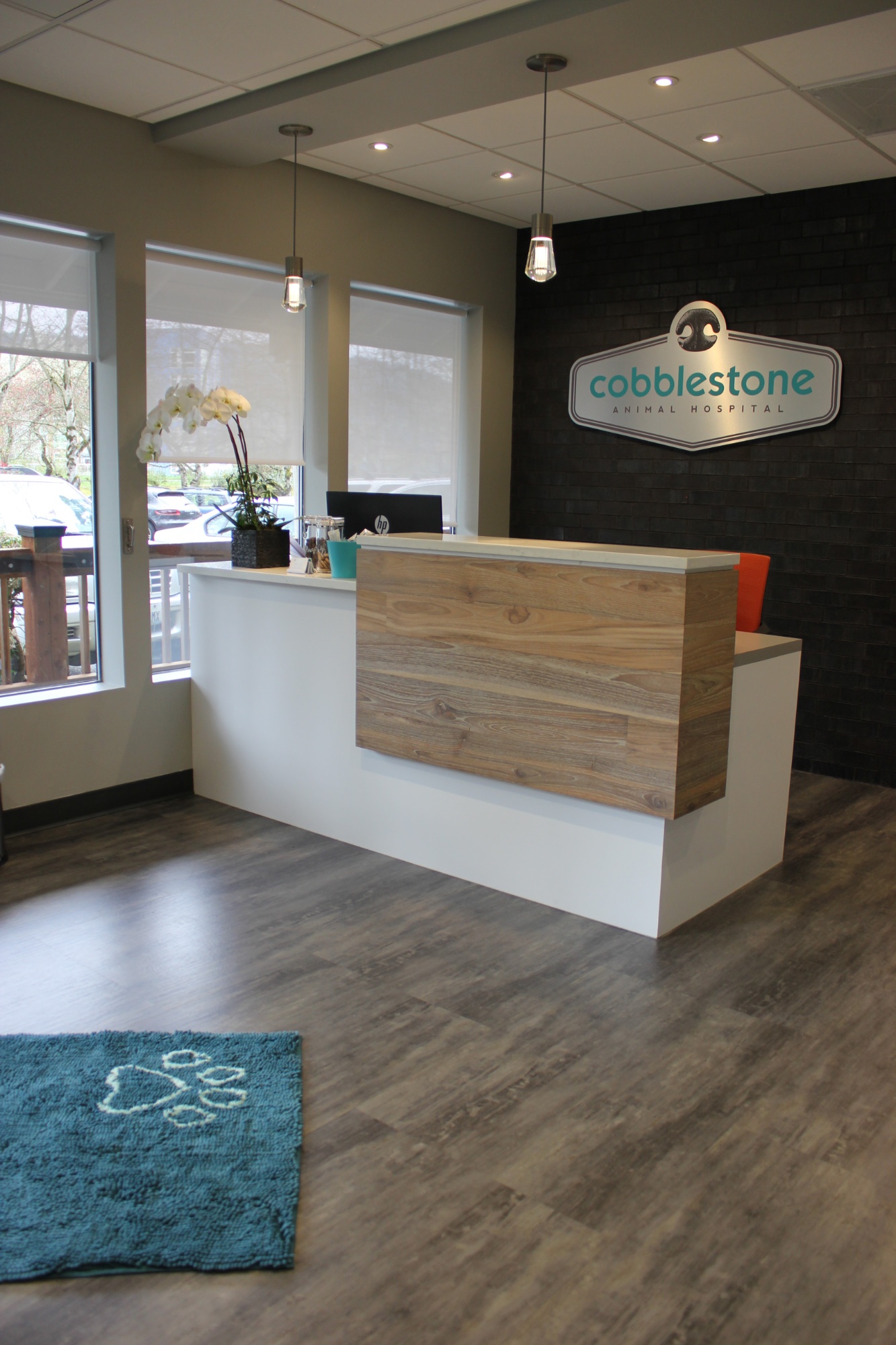 Cobblestone Animal Hospital photo