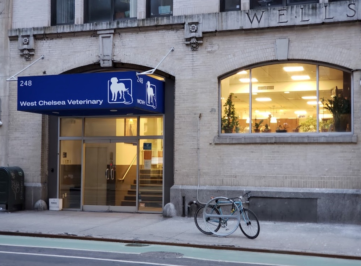 West Chelsea Veterinary photo