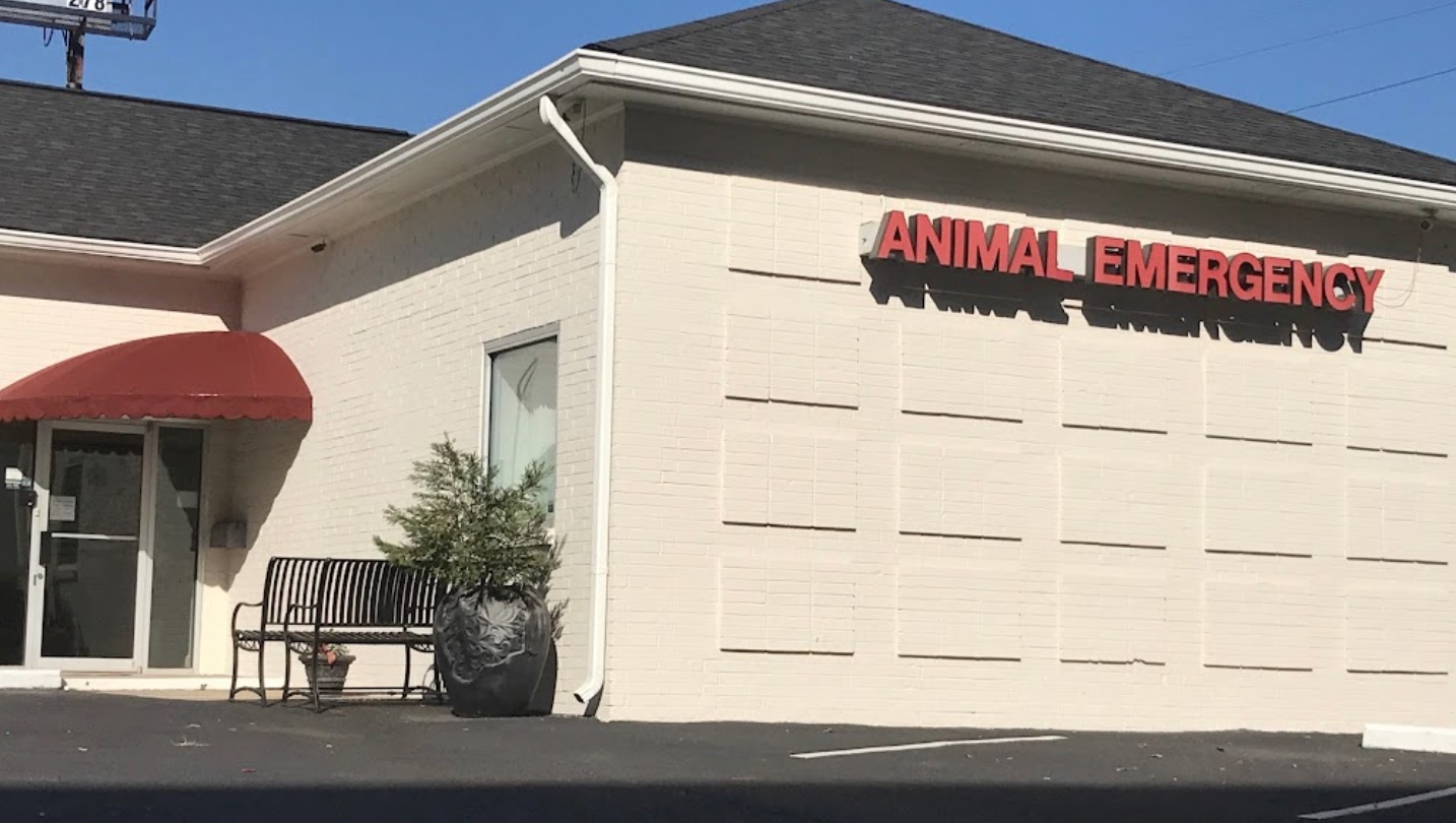 Animal Emergency Center of Sandy Springs   photo