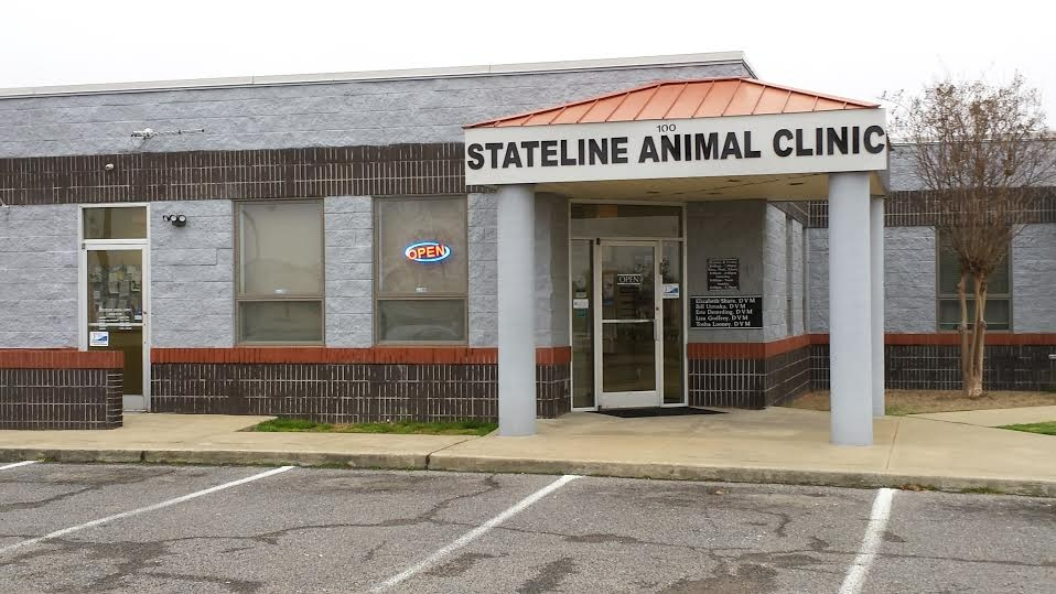 Stateline Animal Clinic photo