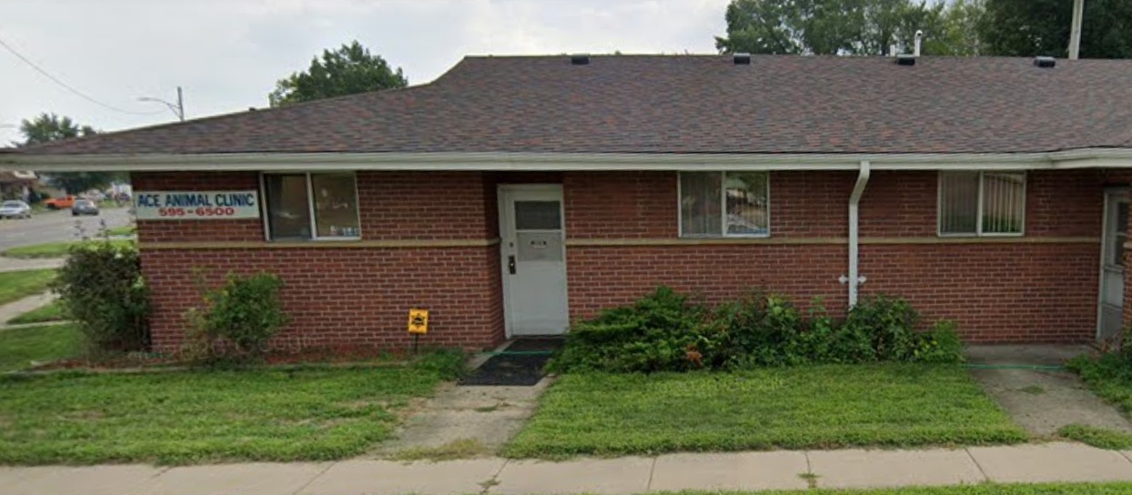 Ace Animal Clinic photo
