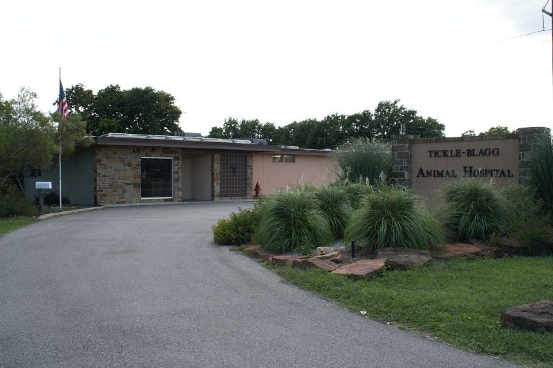 Tickle-Blagg Animal Hospital photo