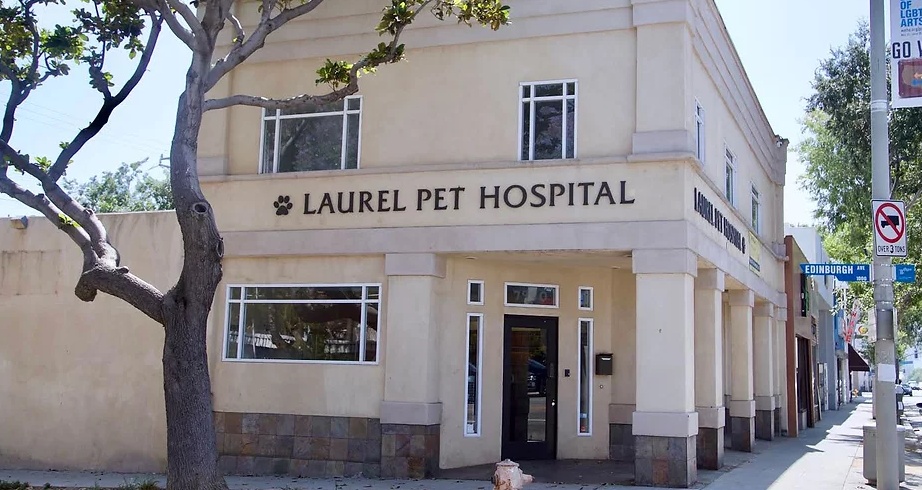 Laurel Pet Hospital photo
