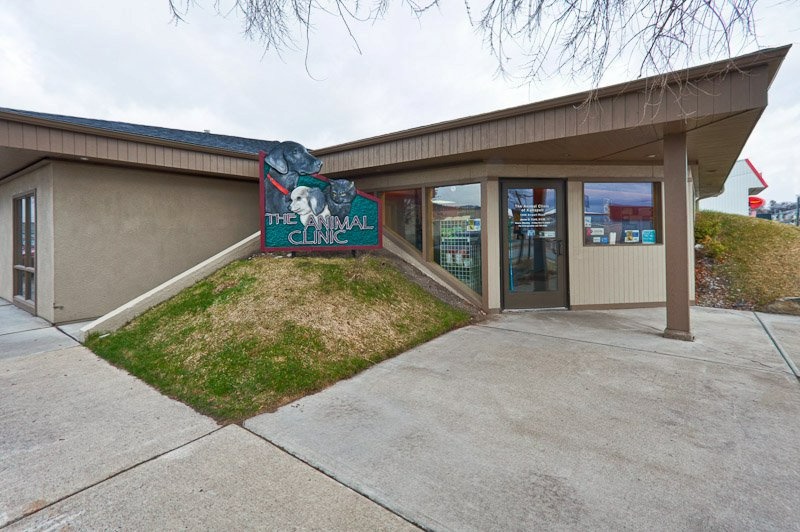 Animal Clinic of Kalispell photo