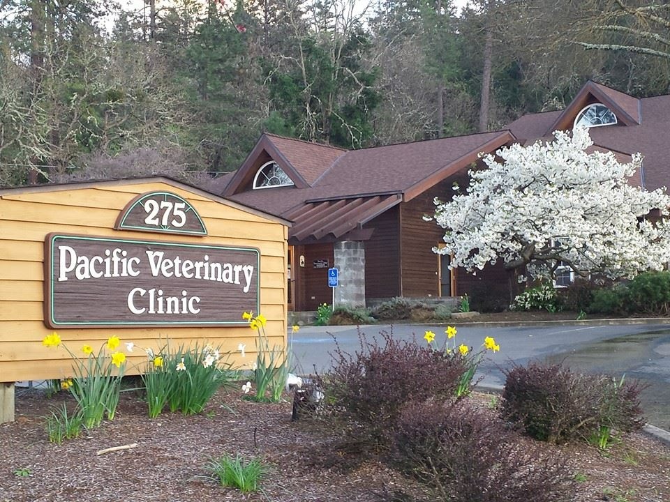 Pacific Veterinary Clinic photo