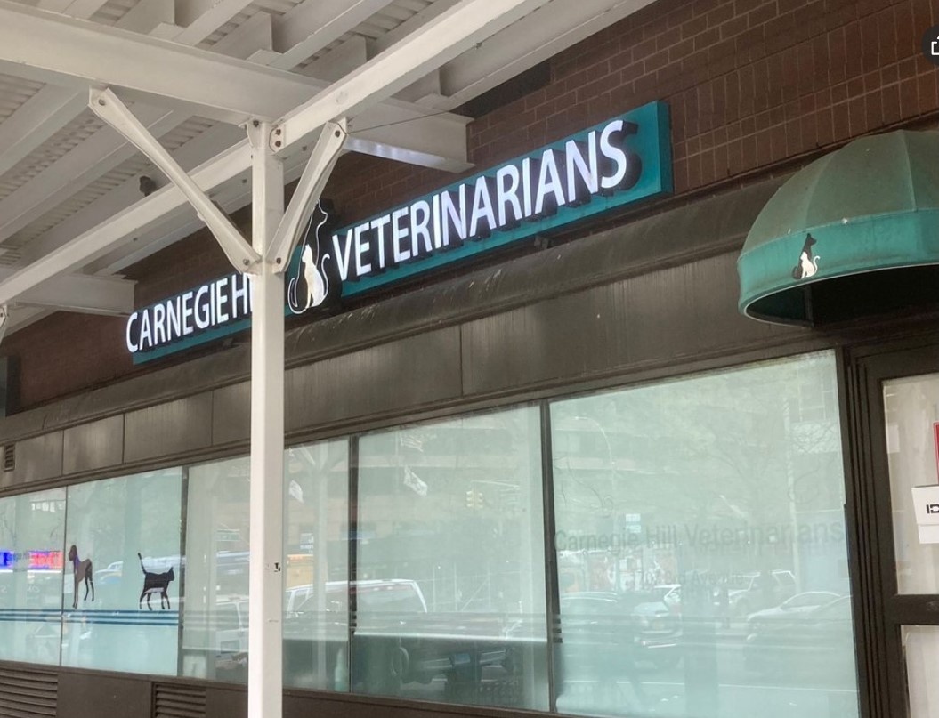 Carnegie Hill Veterinarians  photo