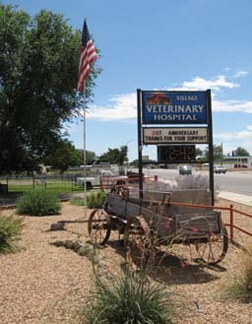 Village Vet Hospital photo