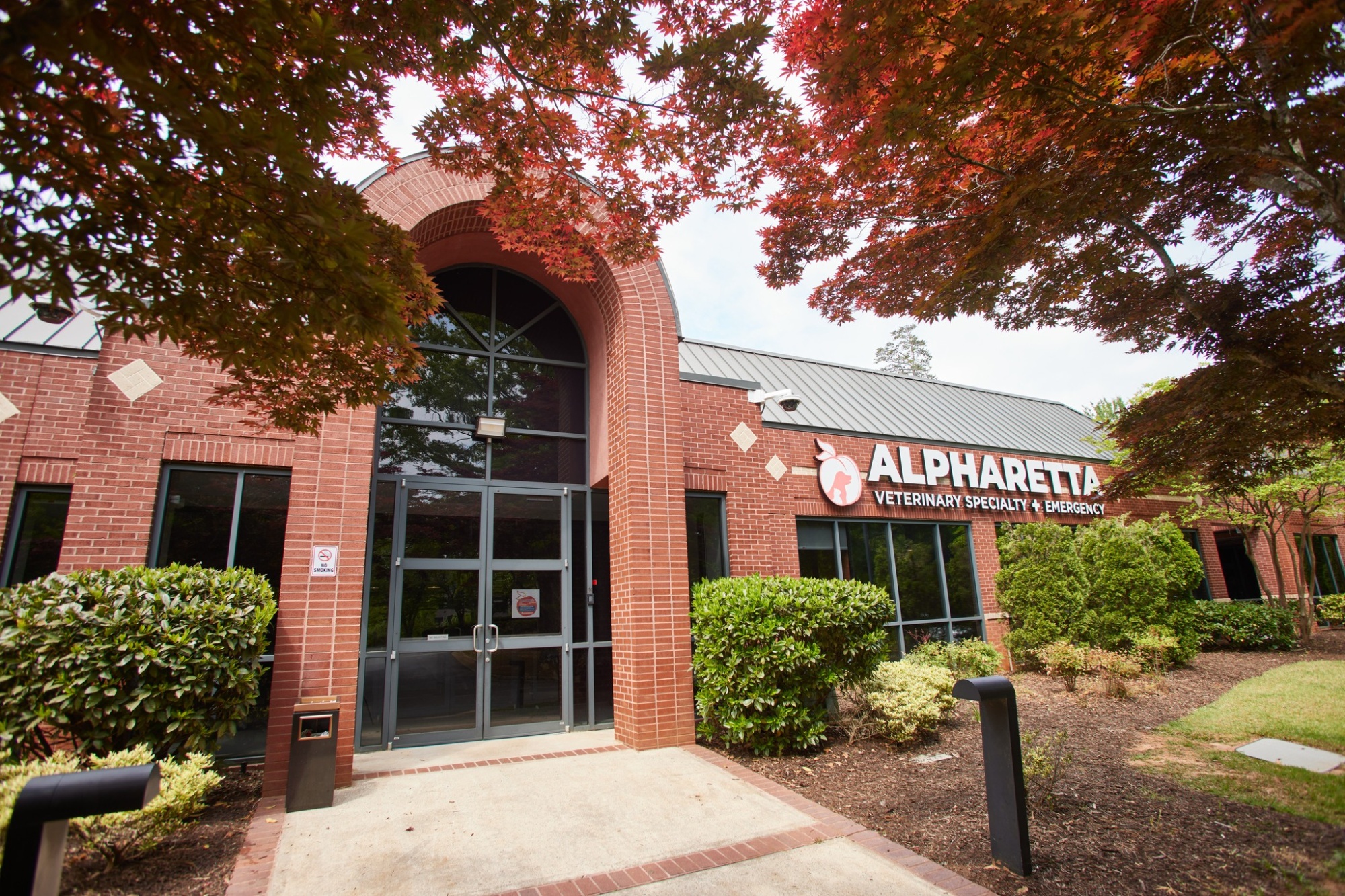 Alpharetta Veterinary Emergency & Specialty (AVSE)  photo
