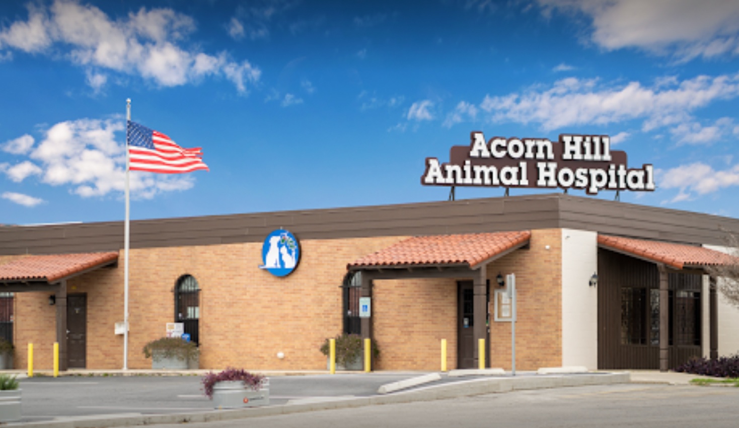 Acorn Hill Animal Hospital photo