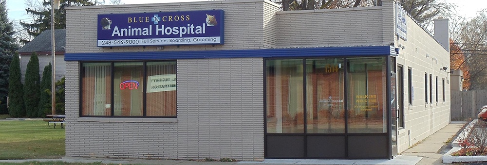 Blue Cross Animal Hospital photo