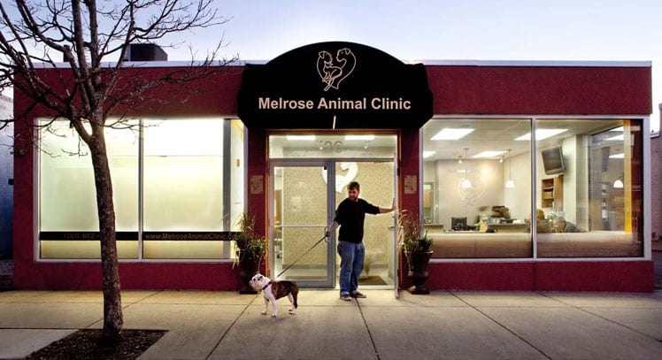 Melrose Animal Clinic photo