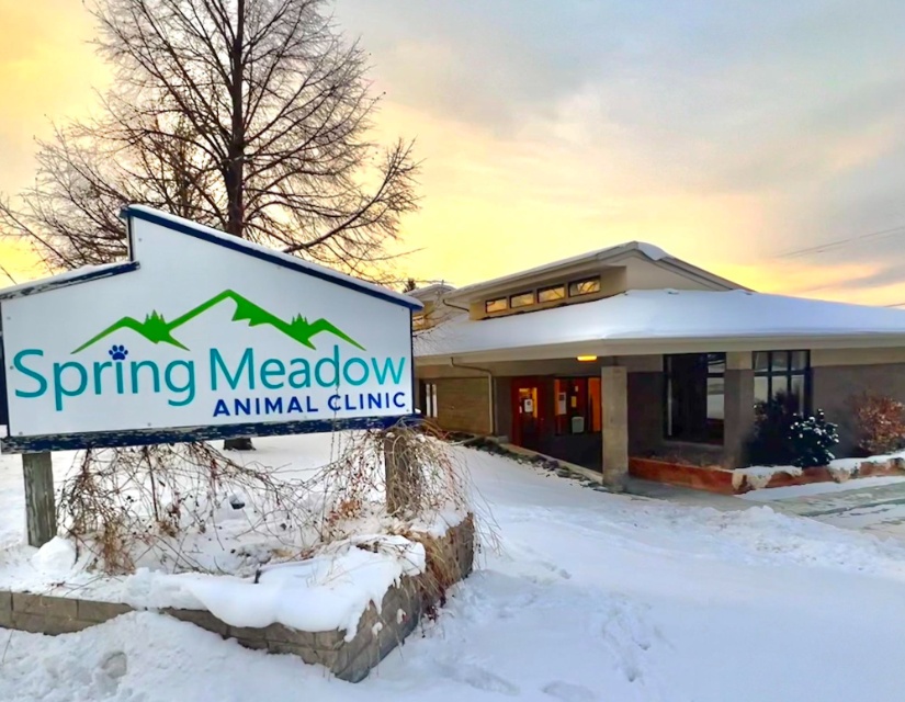 Spring Meadow Animal Clinic  photo