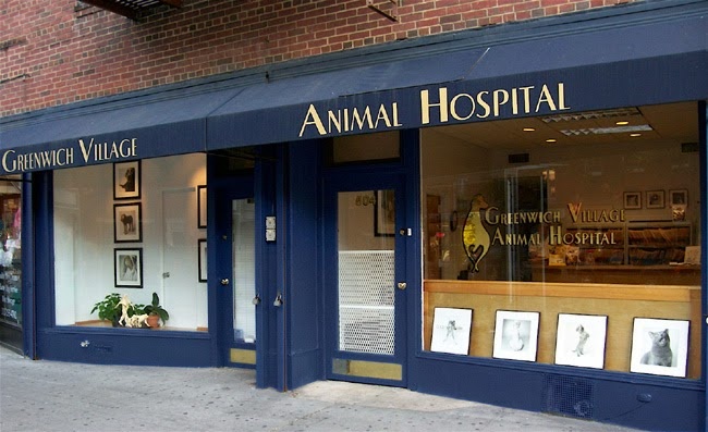 Greenwich Village Animal Hospital photo