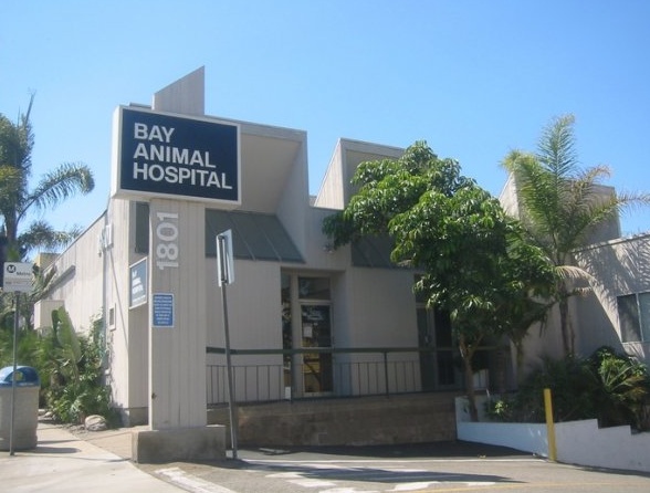 Bay Animal Hospital - CA photo