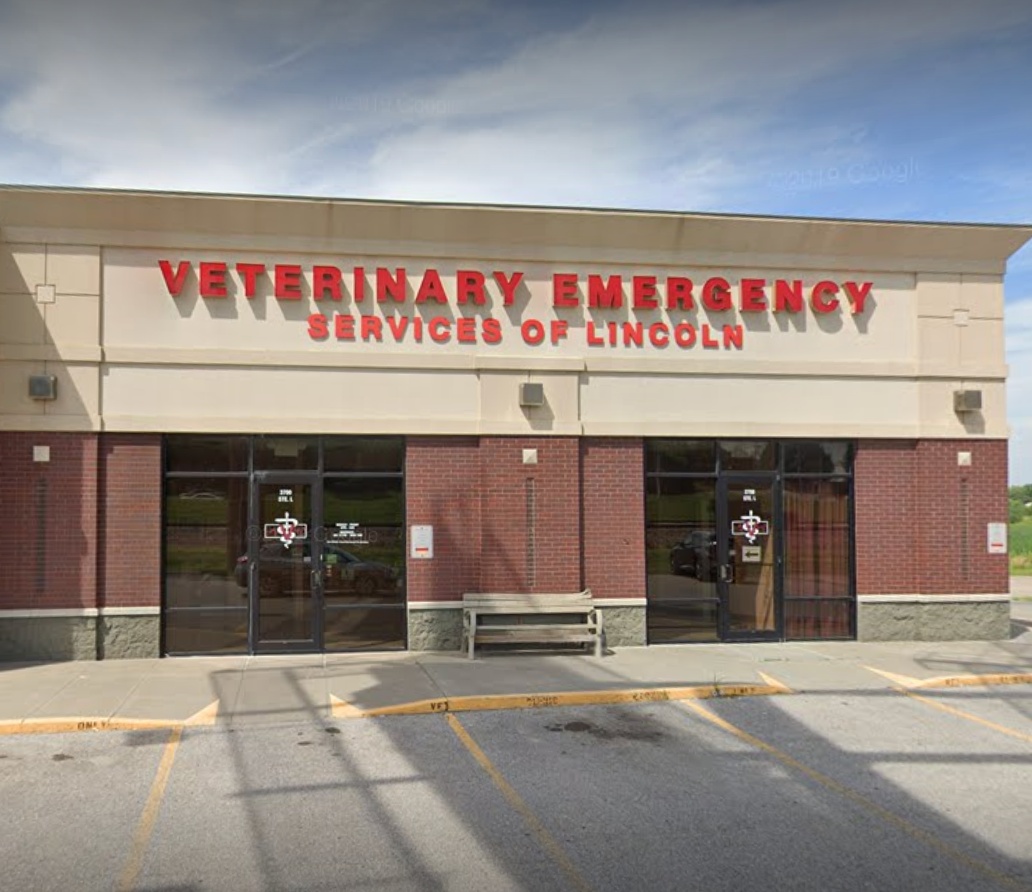 Veterinary Emergency Services of Lincoln photo