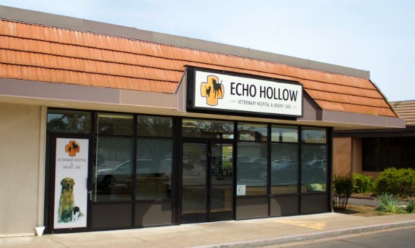 Echo Hollow Veterinary Hospital & Urgent Care photo