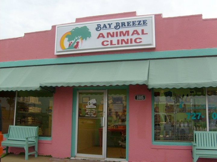 Bay Breeze Animal Clinic photo