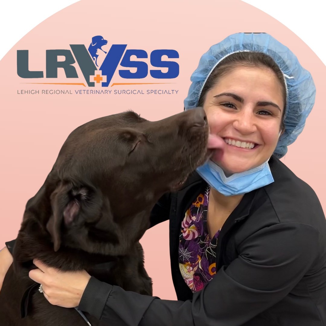 Lehigh Regional Veterinary Surgical Specialty photo