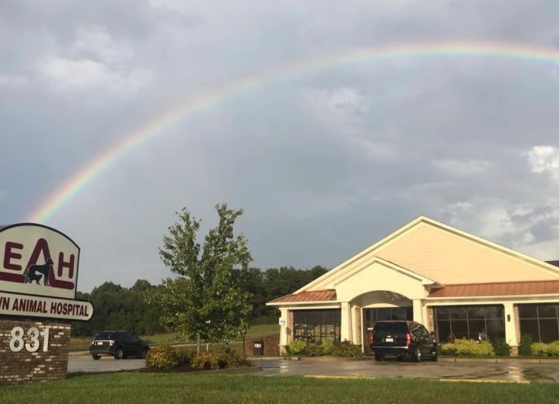 Elizabethtown Animal Hospital photo