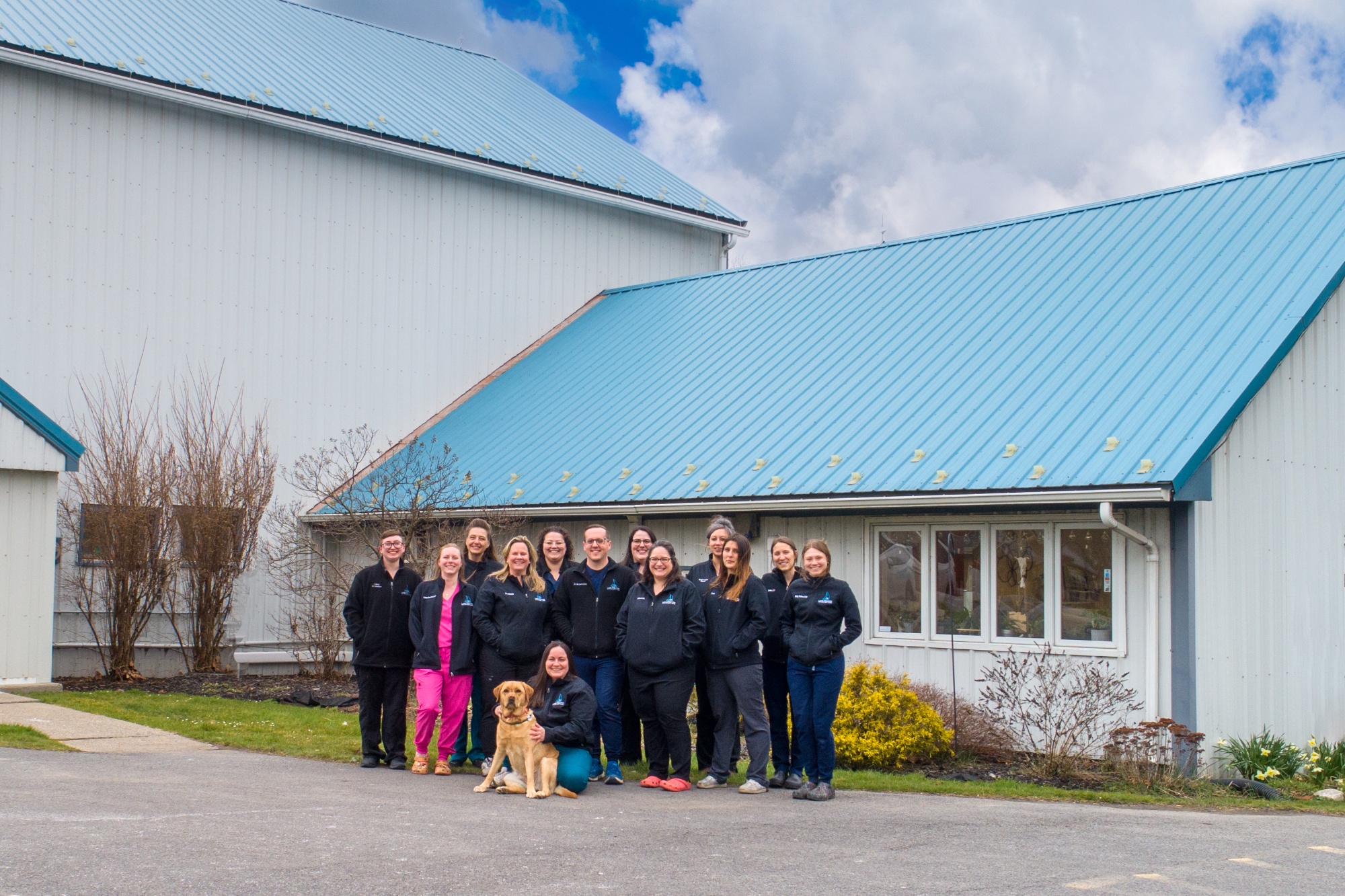 Lake Country Veterinary Care photo