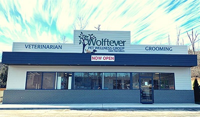 Wolftever Pet Wellness Group - E. Hamilton photo