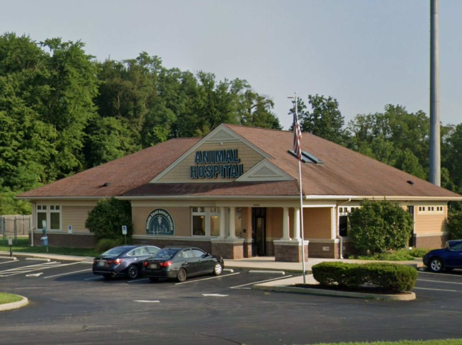 Hillside Small Animal Hospital photo