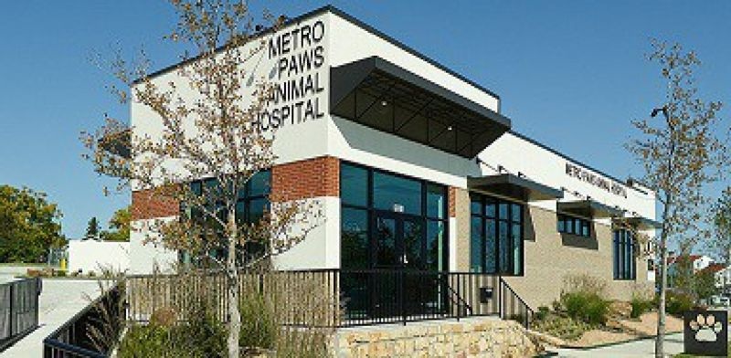Metro Paws AH - Oak Cliff photo