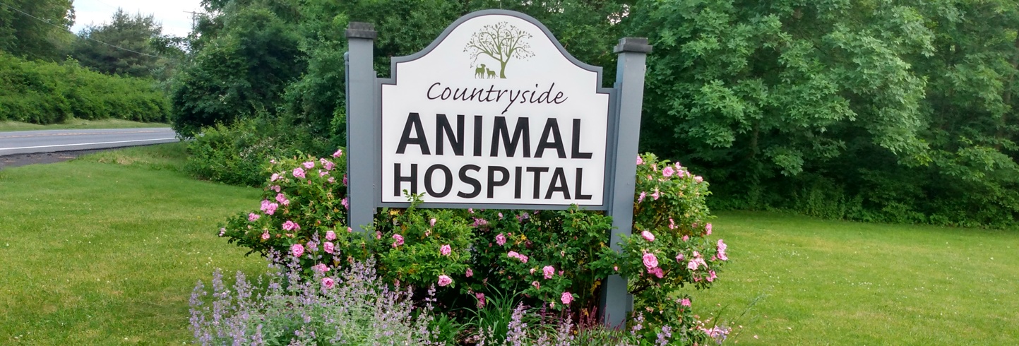 Countryside Animal Hospital photo
