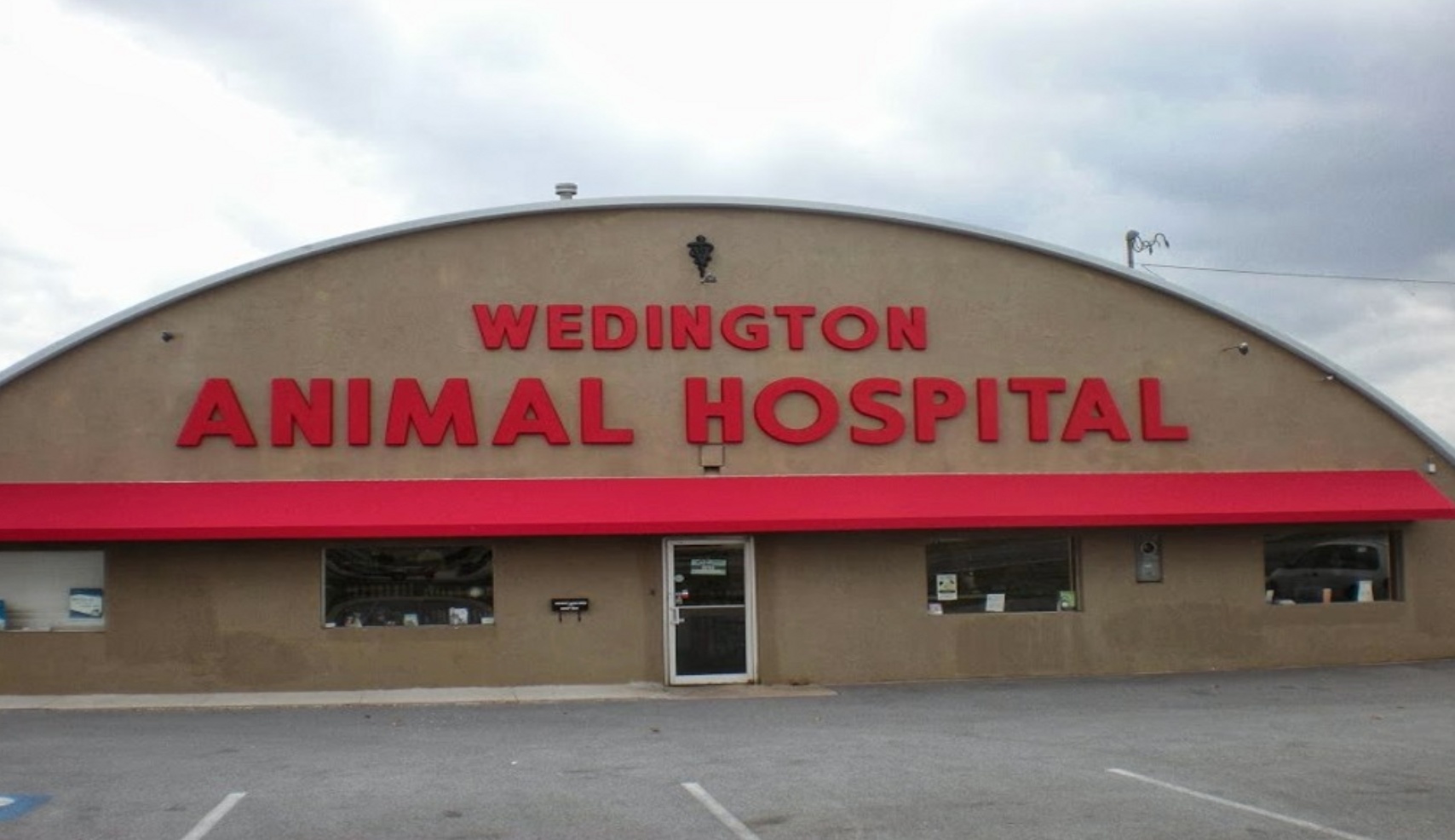 Wedington Animal Hospital photo