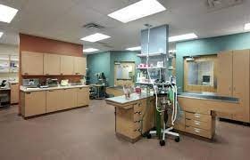 The Center For Animal Wellness photo