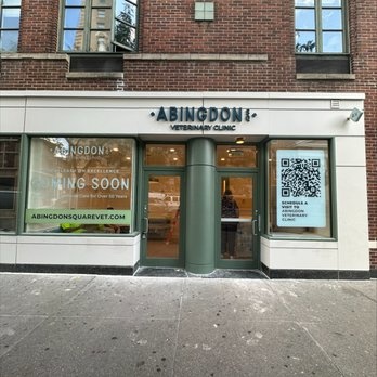 Abingdon Square Veterinary  photo