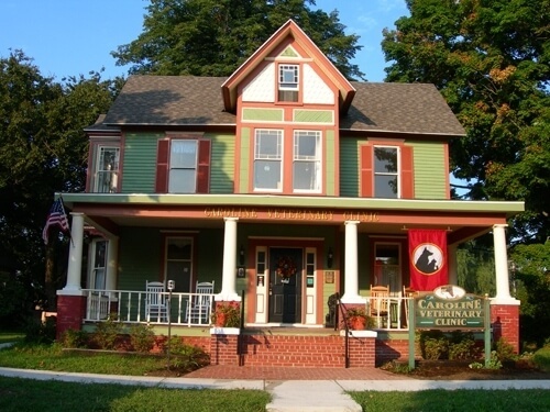 Caroline Veterinary Clinic  photo