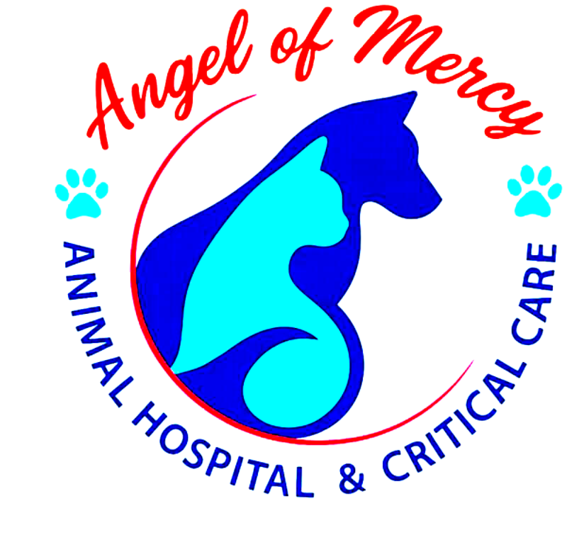 Angel of Mercy Animal Hospital and  Critical Care photo