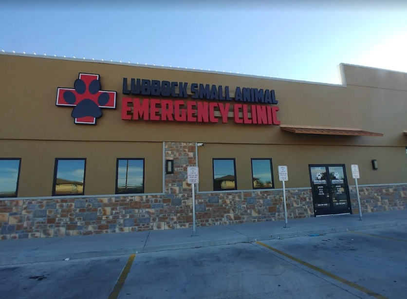 Lubbock Small Animal Emergency Clinic photo