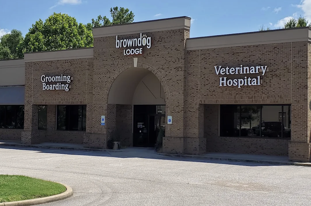 BrownDog Lodge Veterinary Clinic photo