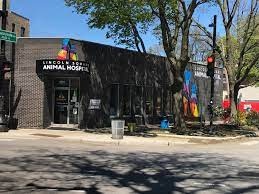 Lincoln Square Animal Hospital photo