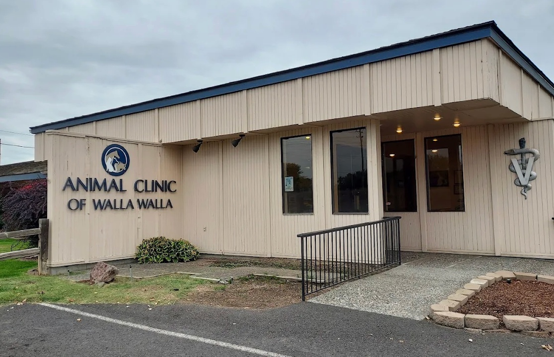 Animal Clinic of Walla Walla photo