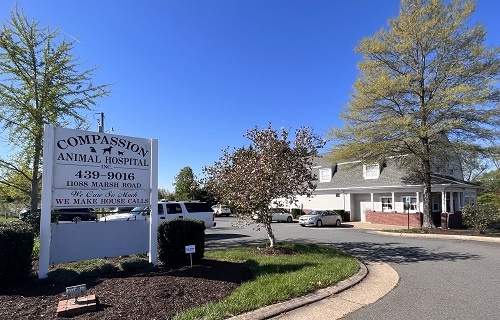 Compassion Animal Hospital photo