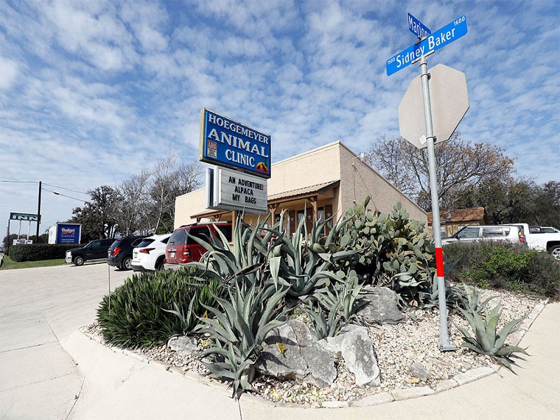 Hoegemeyer Animal Clinic photo