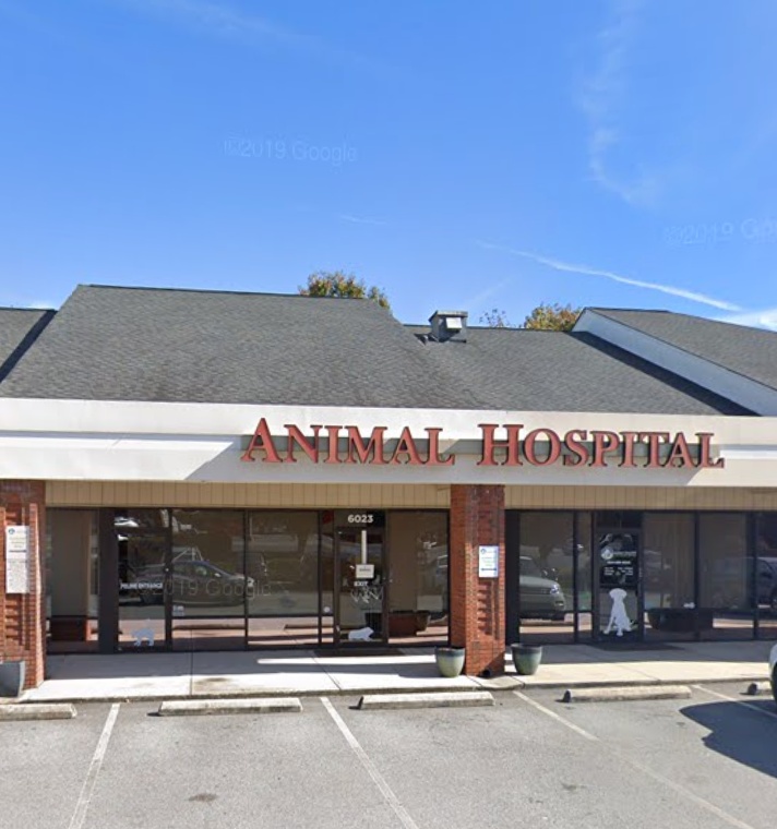 Animal Hospital of Sandy Springs  photo