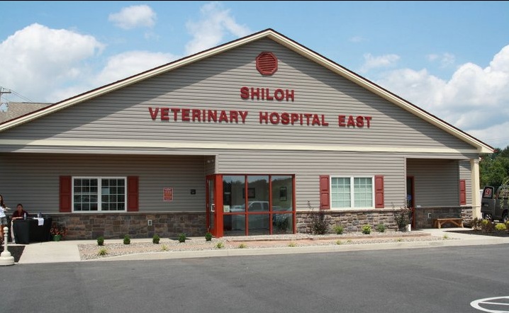 Shiloh Veterinary Hospital East photo