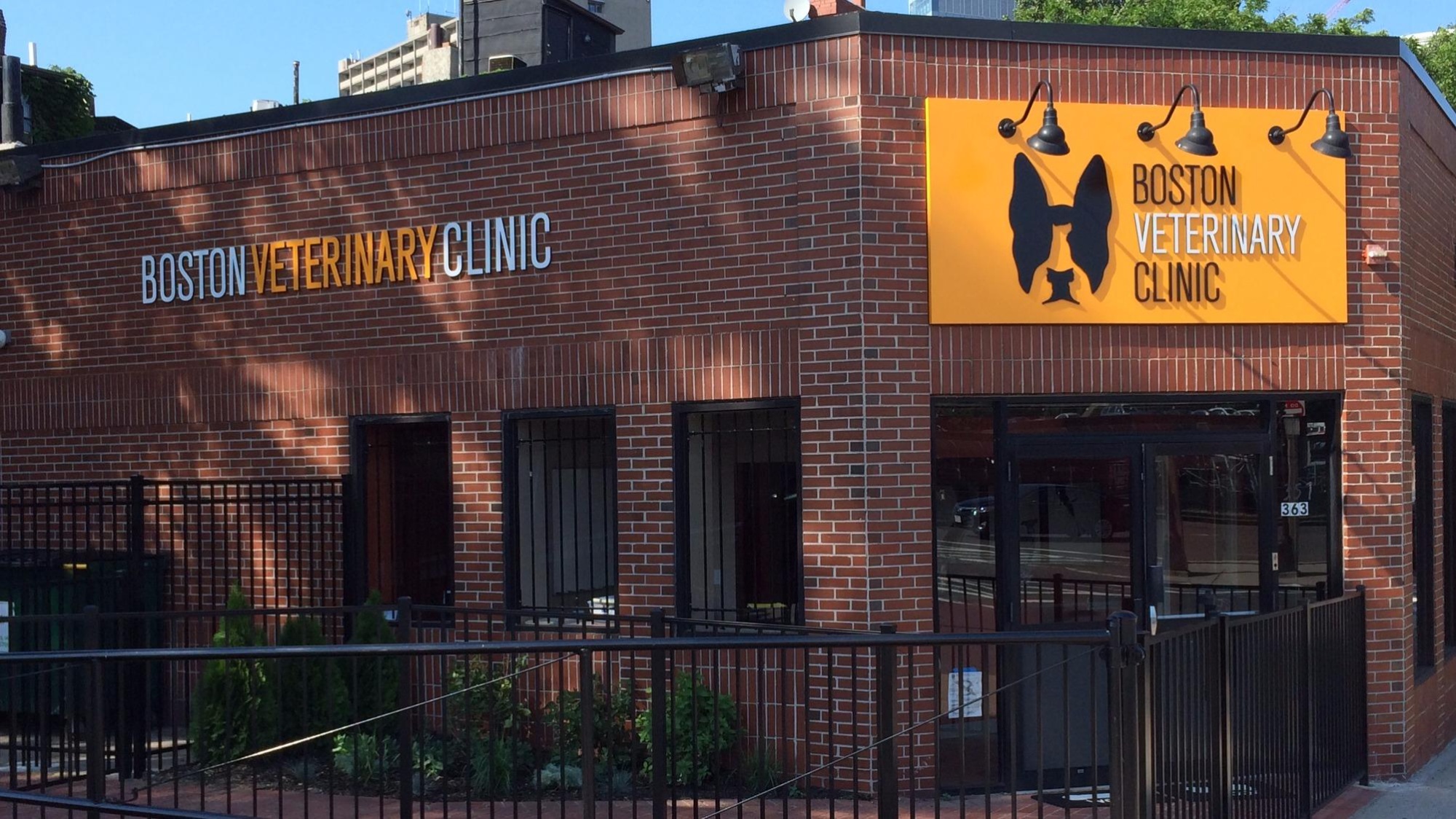 South End - Boston Veterinary Clinic photo