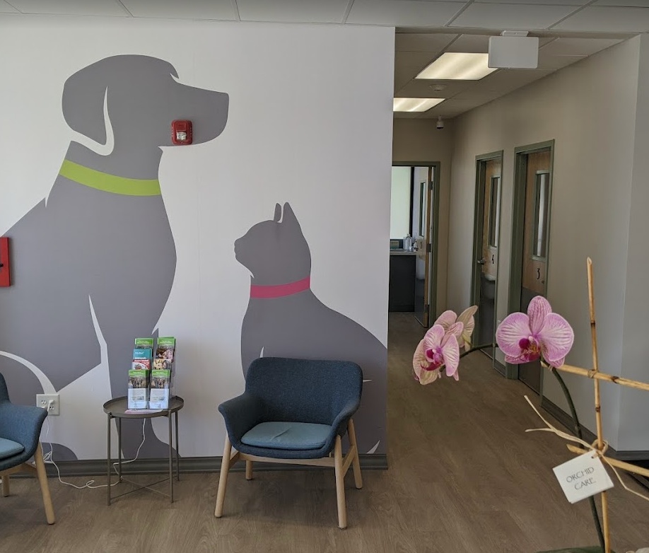 Dogwood Veterinary Specialty and Emergency photo